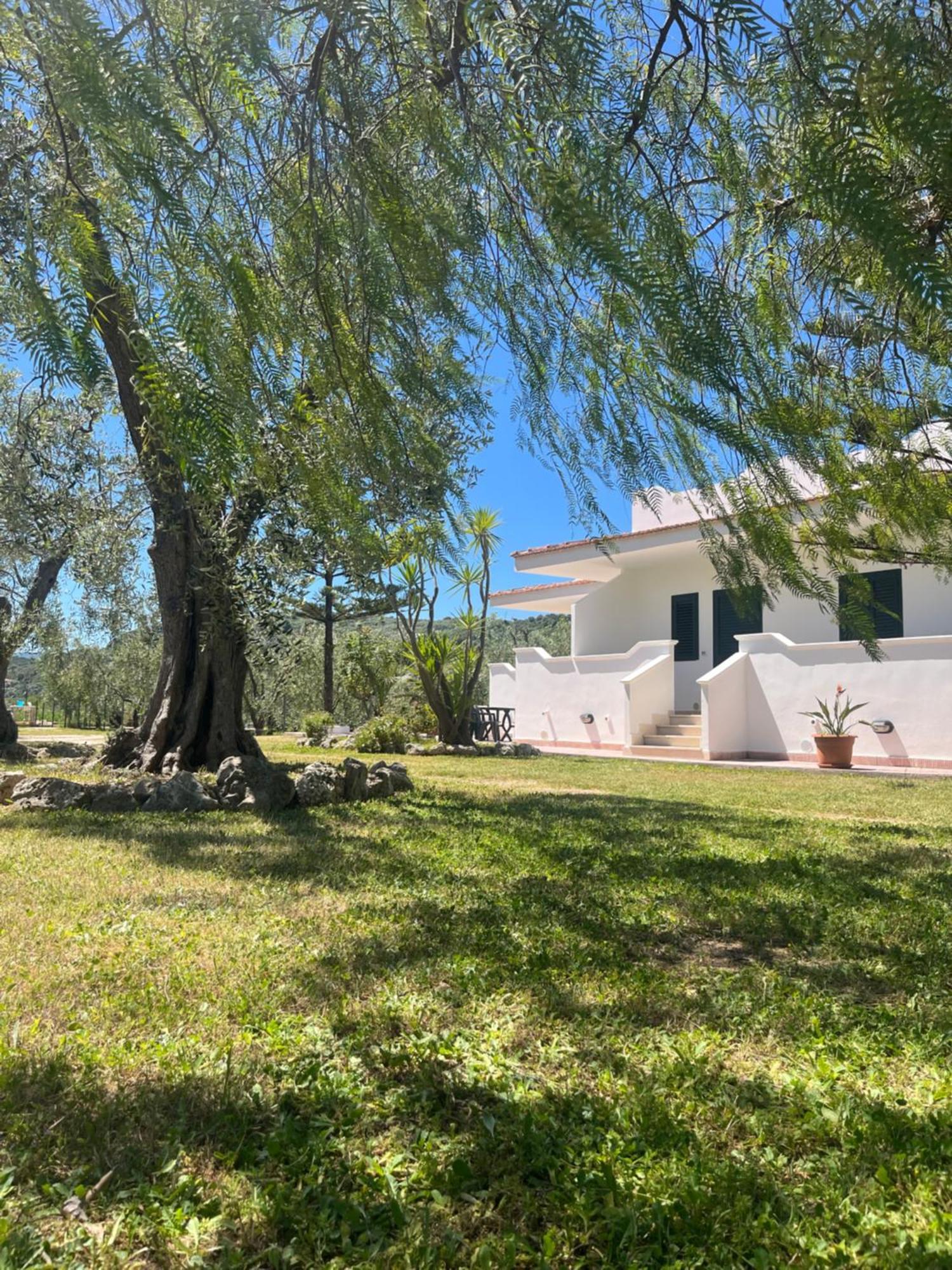 Villa Angela Case Vacanza Vieste Ngoại thất bức ảnh